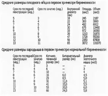 Узнать точную неделю беременности