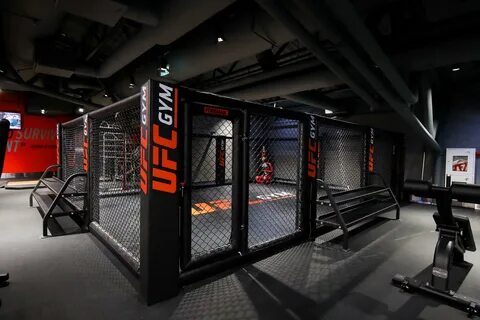 Ufc gym