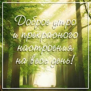 Открытки доброе утро с видом природы