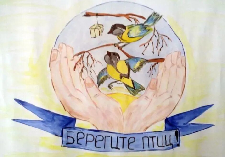 Берегите птиц берегите природу. Плакат на тему защита птиц. плакат берегите птиц. рисунок на тему защита птиц. плакат на тему охрана птиц.