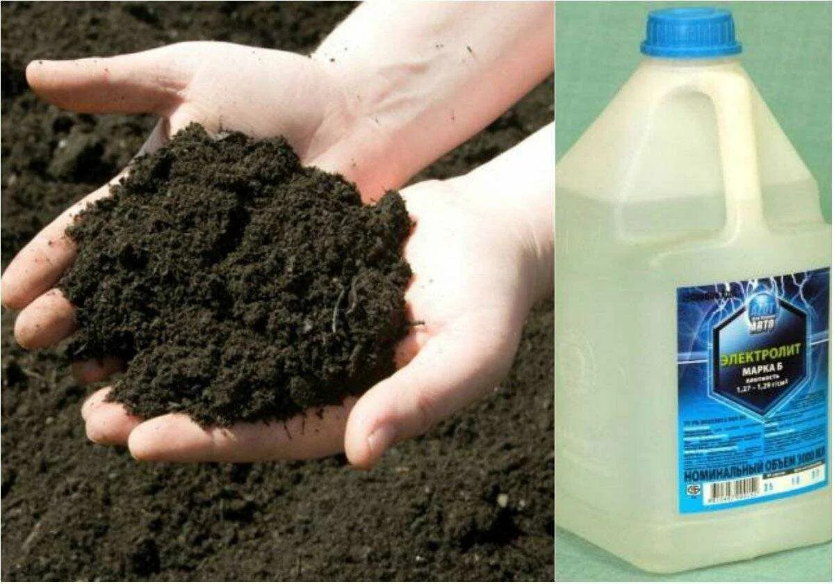 Удобрение почвы. Почва для голубики. Почва для гортензии. Препарат для подкисления почвы для растений.
