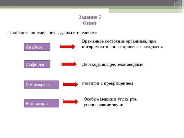 Состояние организма при котором замедляется жизненные процессы. Чем обусловлен метаморфоз амфибий. Замедление жизненных процессов животных. Выберите определение которое подходит понятию платформа. Подбери определение задания: рыжая.