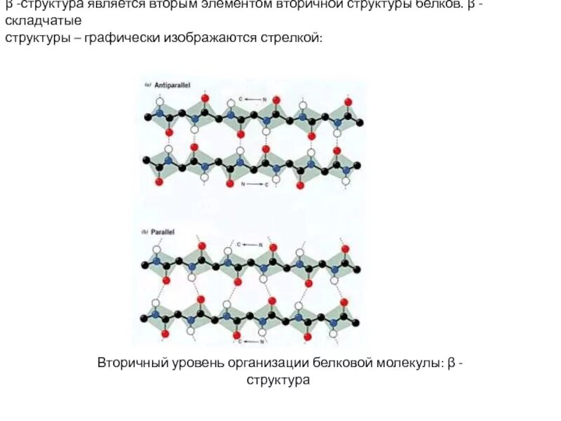 Химическая связь первичной структуры