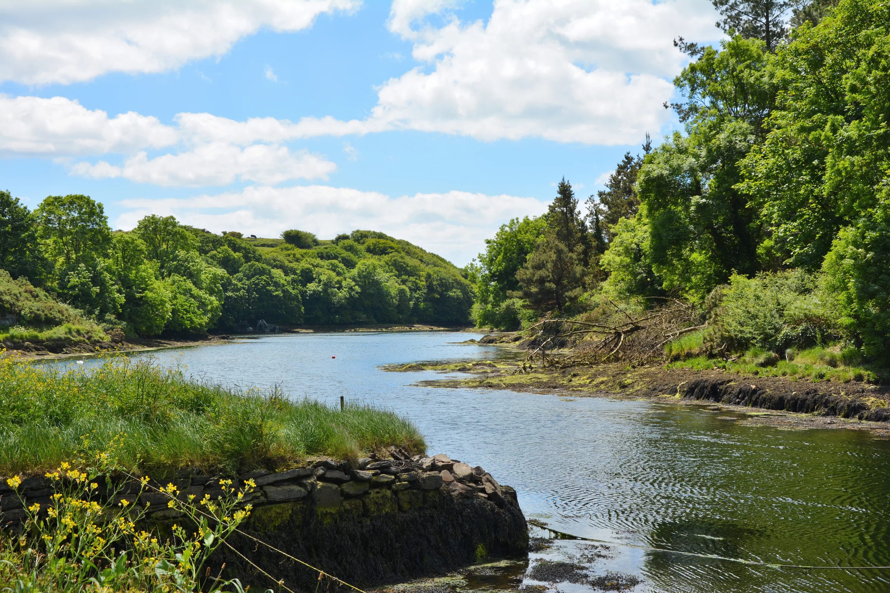 Берег реки. Берег реки напротив. Реки и озера Ирландии. Напротив реки. River coast