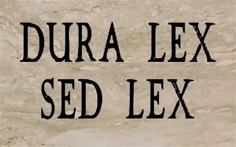 Lex английский