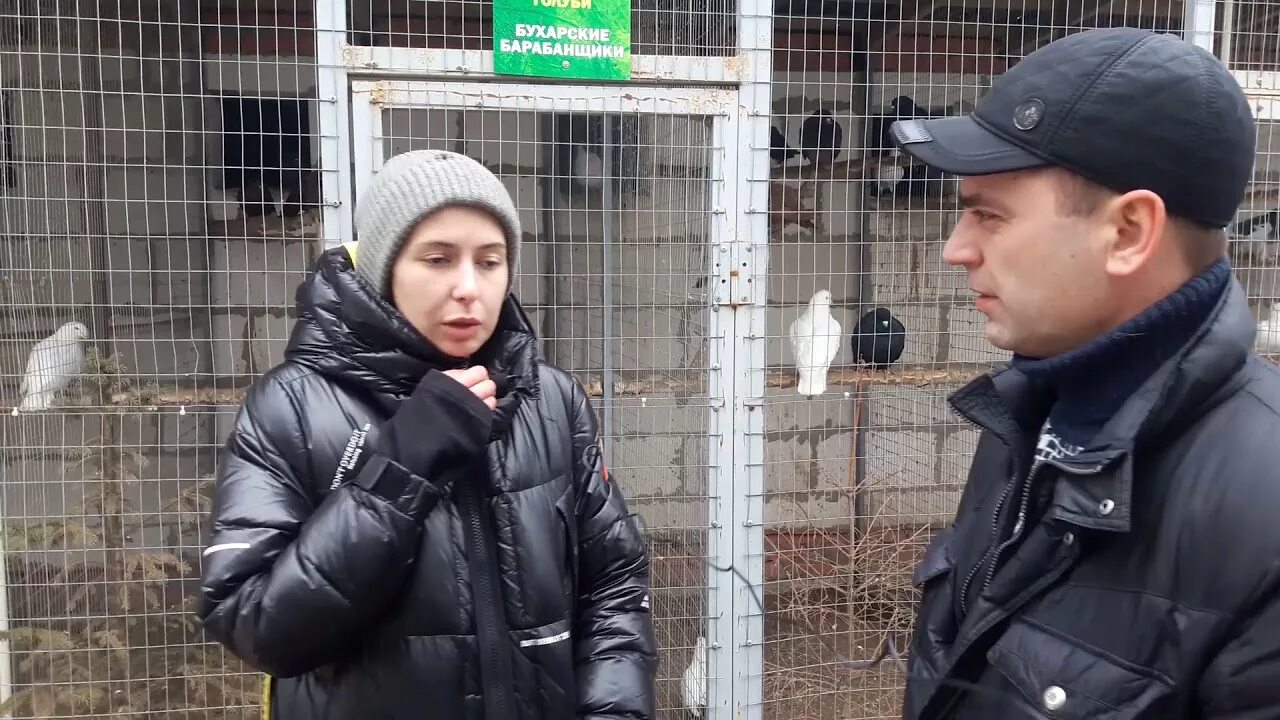 Зоопарк алексин. Зооферма алексин-страус. зоопарк алексин-страус. страусиная ферма алексин. страусиная ферма в алексине.