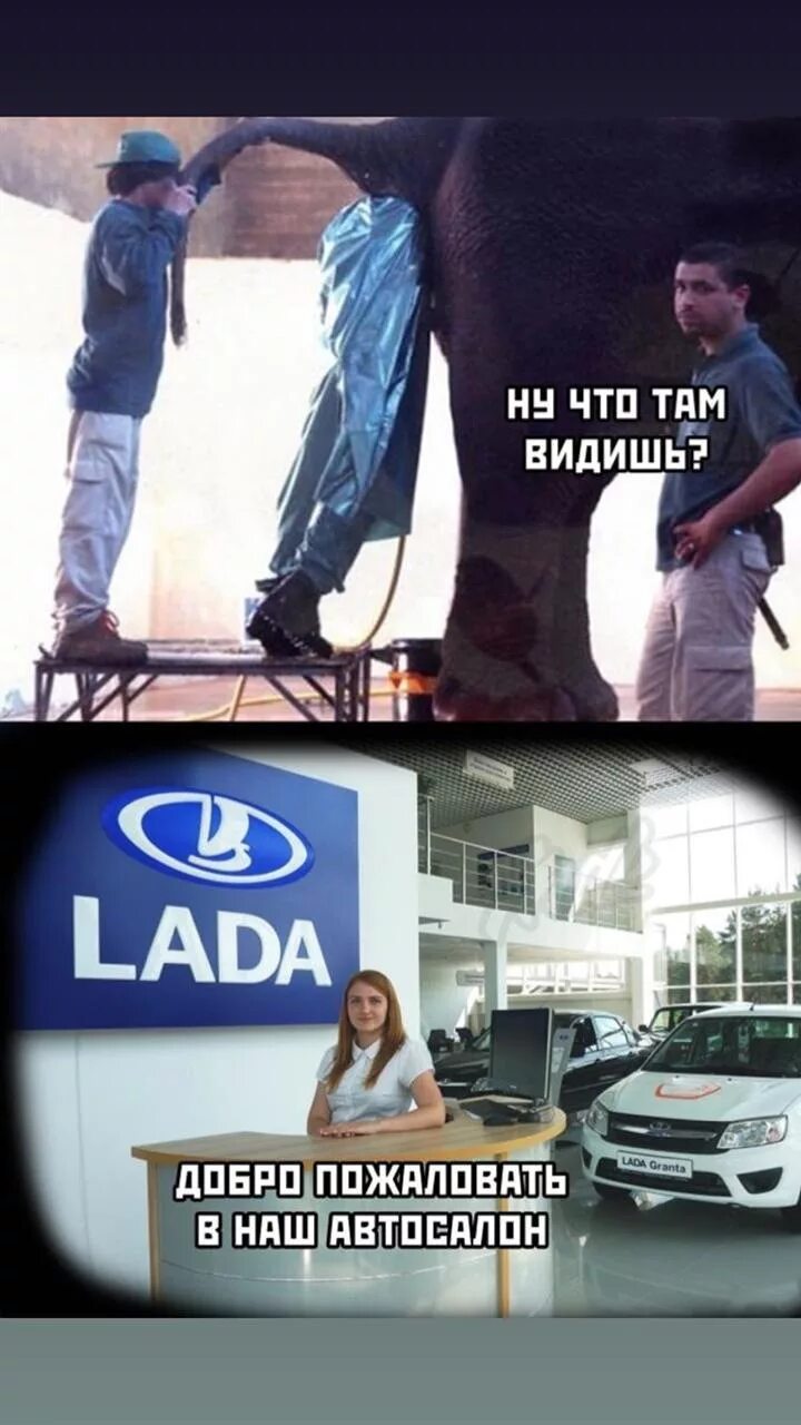Что ты там видел. Что ты там видел. Мемы про политех. Мемы про статьи. Папа а кто такие алкоголики анекдот.