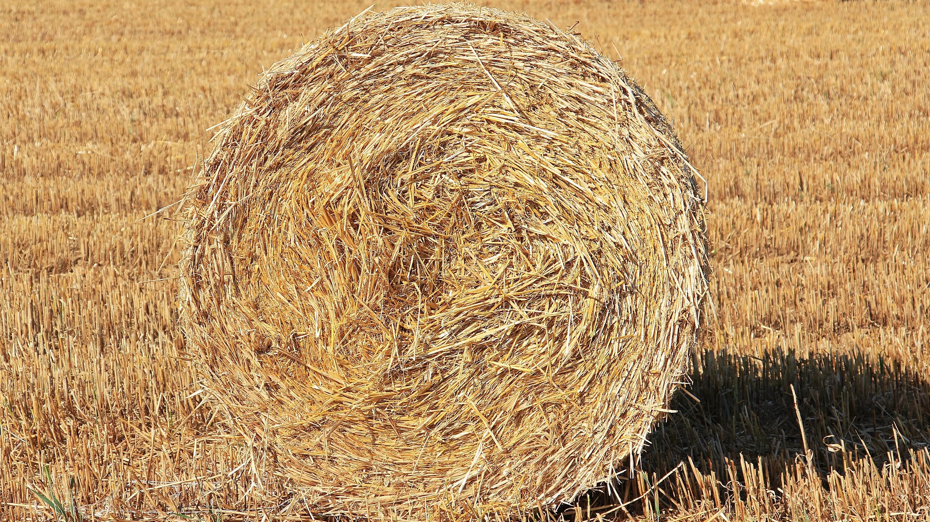 Straw page