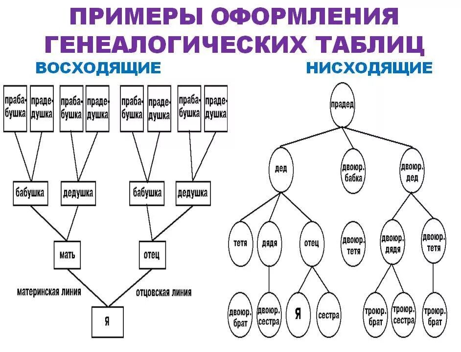 Сколько поколений живет в семье. Как составляется схема родословной. Как составить родословную семьи образец. Как составляется родословная семьи. Как составить родословная семьи схема.