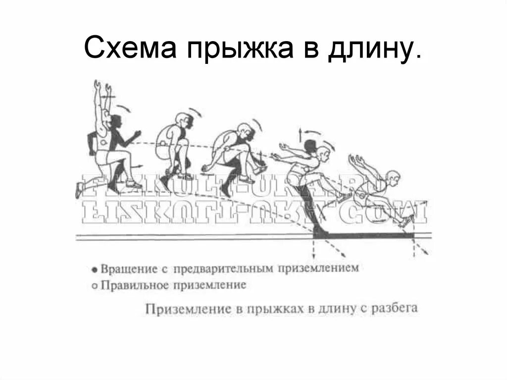 Куда осуществляется приземление в прыжках в длину. Прыжок в длину схема. прыжки в длину с разбега. приземление при прыжке в длину с разбега. техника прыжка в длину с разбега техника приземления.
