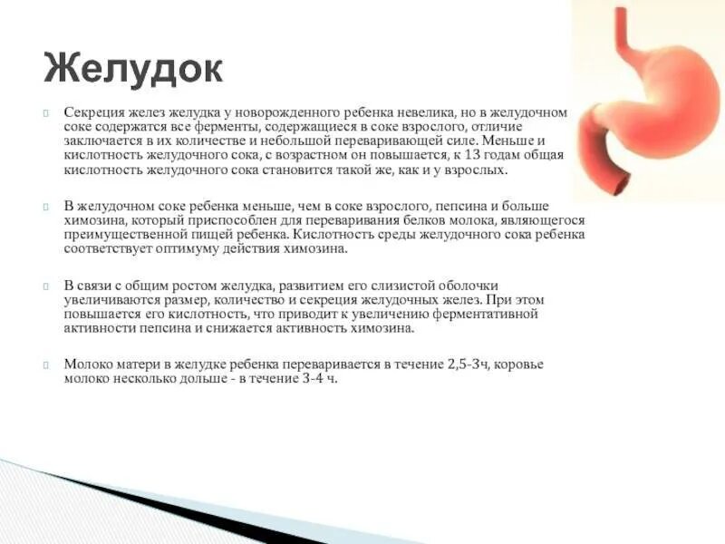 Стоит желудок что делать как запустить. Болит желудок у взрослого. возрастные особенности желудочного сока.