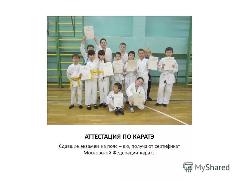 Голубой пояс по карате. Пояса в карате по порядку по цвету. Каратэ сетокан цвет пояса. Как сдать на пояс в каратэ. Как сдать на пояс в каратэ.