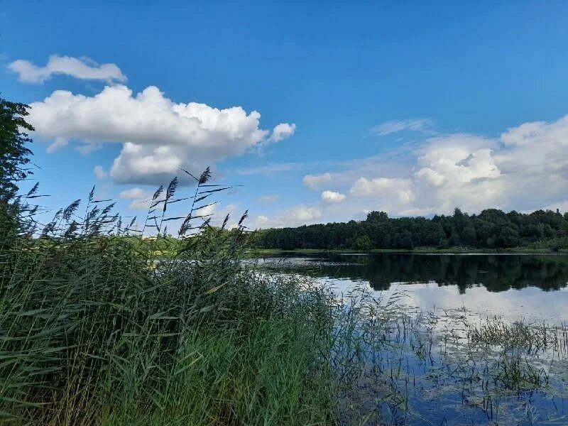 Подслушано сясьстрой. Депутаты города сясьстрой. Девушки город сясьстрой. Говорит сясьстрой. Ньюс сясьстрой.