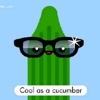 As cool as a