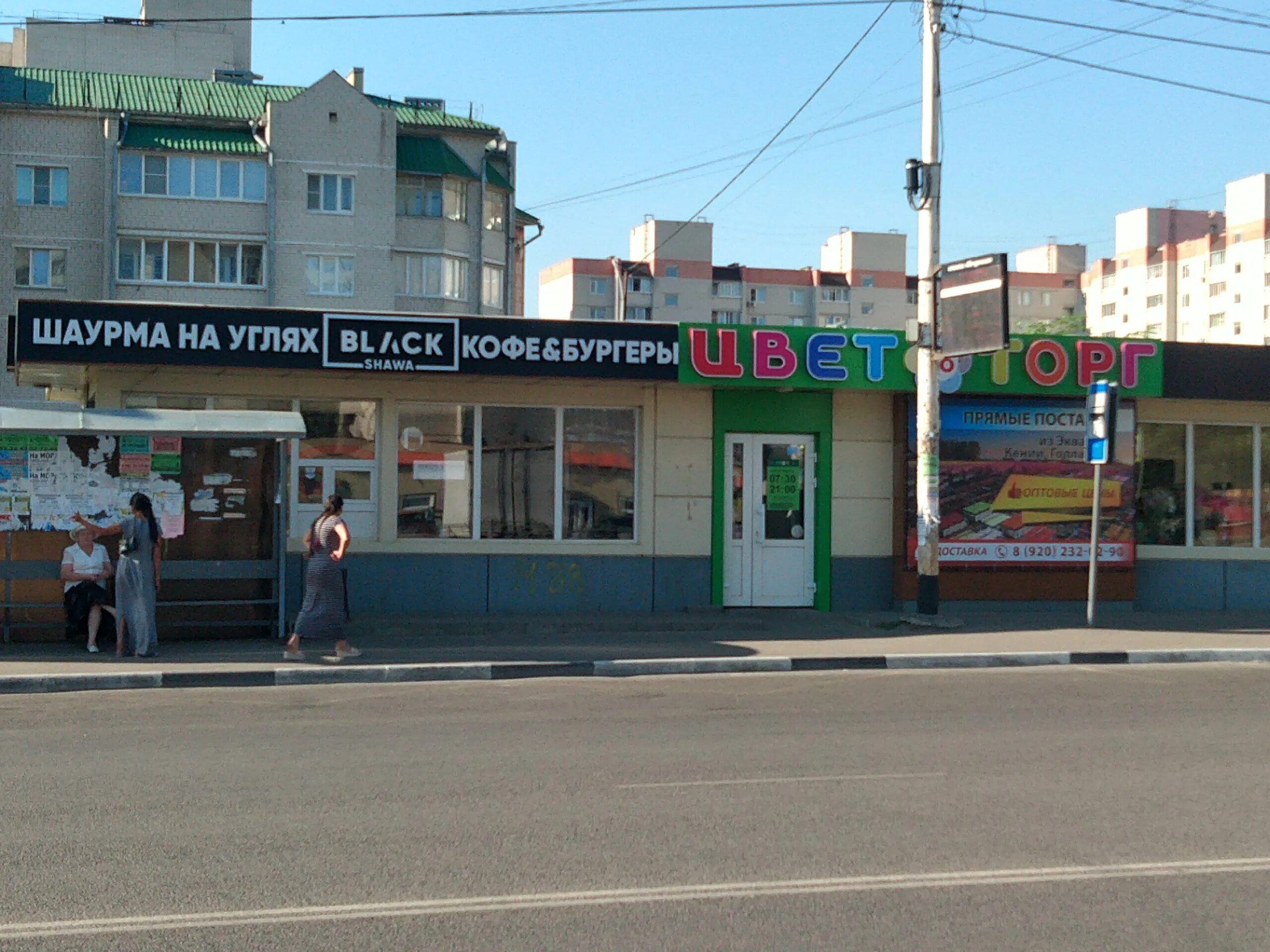 россошь цветочный магазин цветторг. цветторг база ярославль. цветы на чичканова тамбов. цветторг тамбов. цветторг тамбов чичерина.