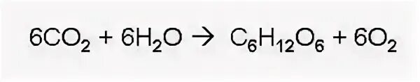 Co2 h2o фотосинтез. Суммарная реакция фотосинтеза формула. Фотосинтез формула реакции. Химическая реакция фотосинтеза формула. Уравнение фотосинтеза Глюкозы.