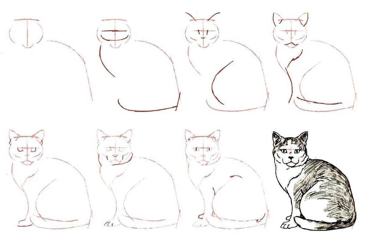 Как нарисовать катнапа. Кошка рисунок карандашом. Поэтапное рисование карандашом. Уроки рисования кошек. Кот рисунок карандашом поэтапно.