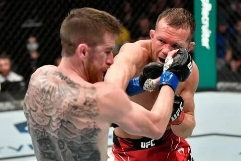 Бои смешанных единоборств ufc