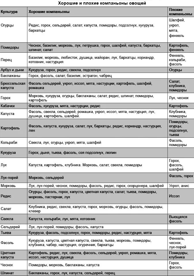 Соседство овощей на грядках таблица совместимости растений. Соседство растений на огороде таблица овощей грядках совместимости. Таблица совместимости растений на огороде соседство овощей. Таблица совмещенных посадок растений на грядке.