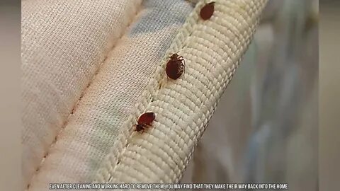 Керемет жопы в леггинс порно