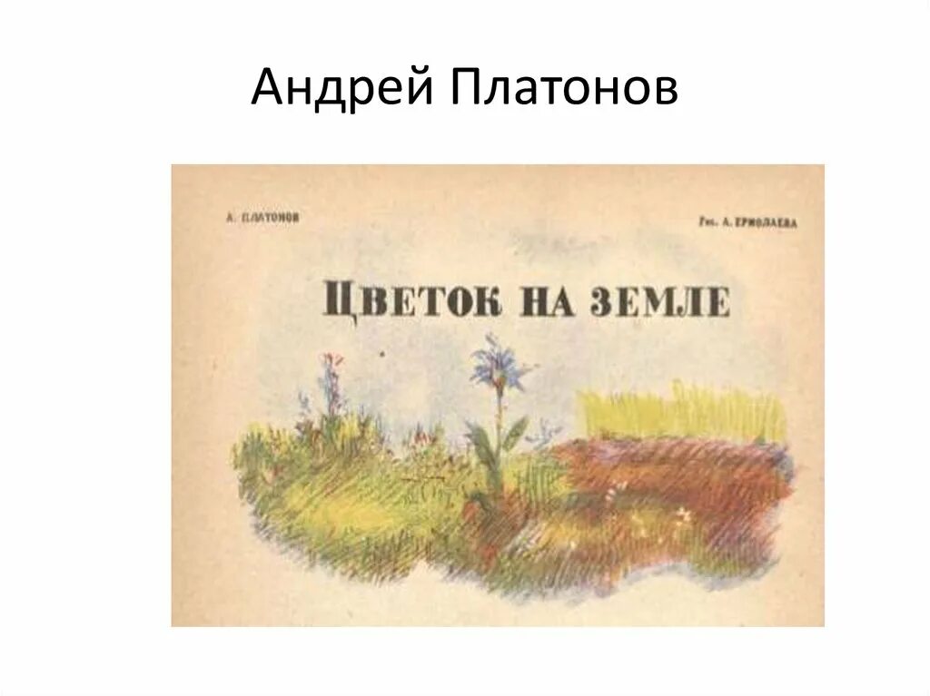 А п платонова цветок на земле. Иллюстрация к рассказу Платонова цветок на земле.