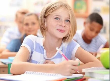 Net pupil