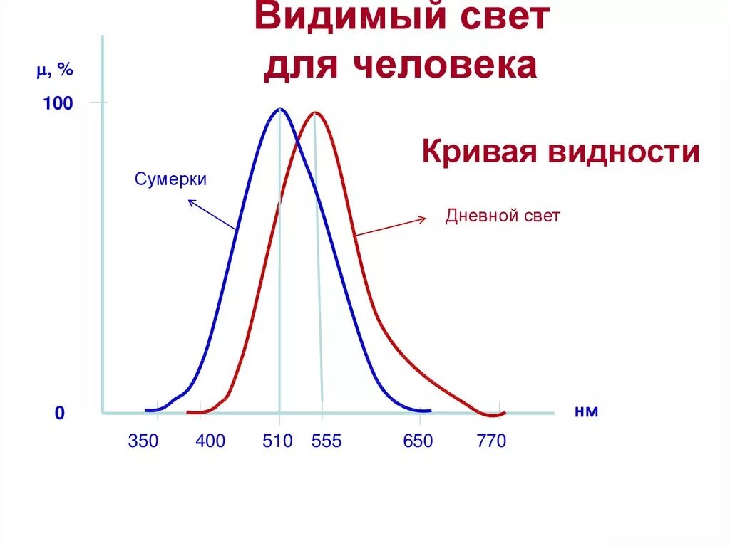 Видимые спектр излучения. Видимый свет. Видимый спектр человека. Видимый свет диапазон. Видимый свет примеры