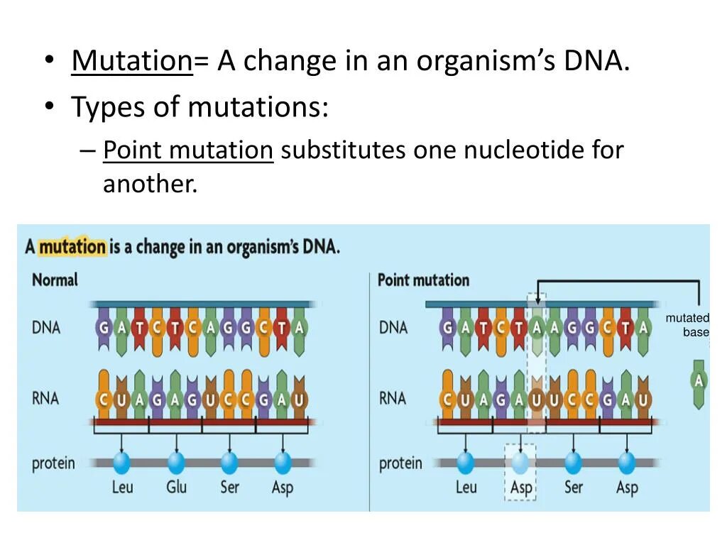 Global mutation