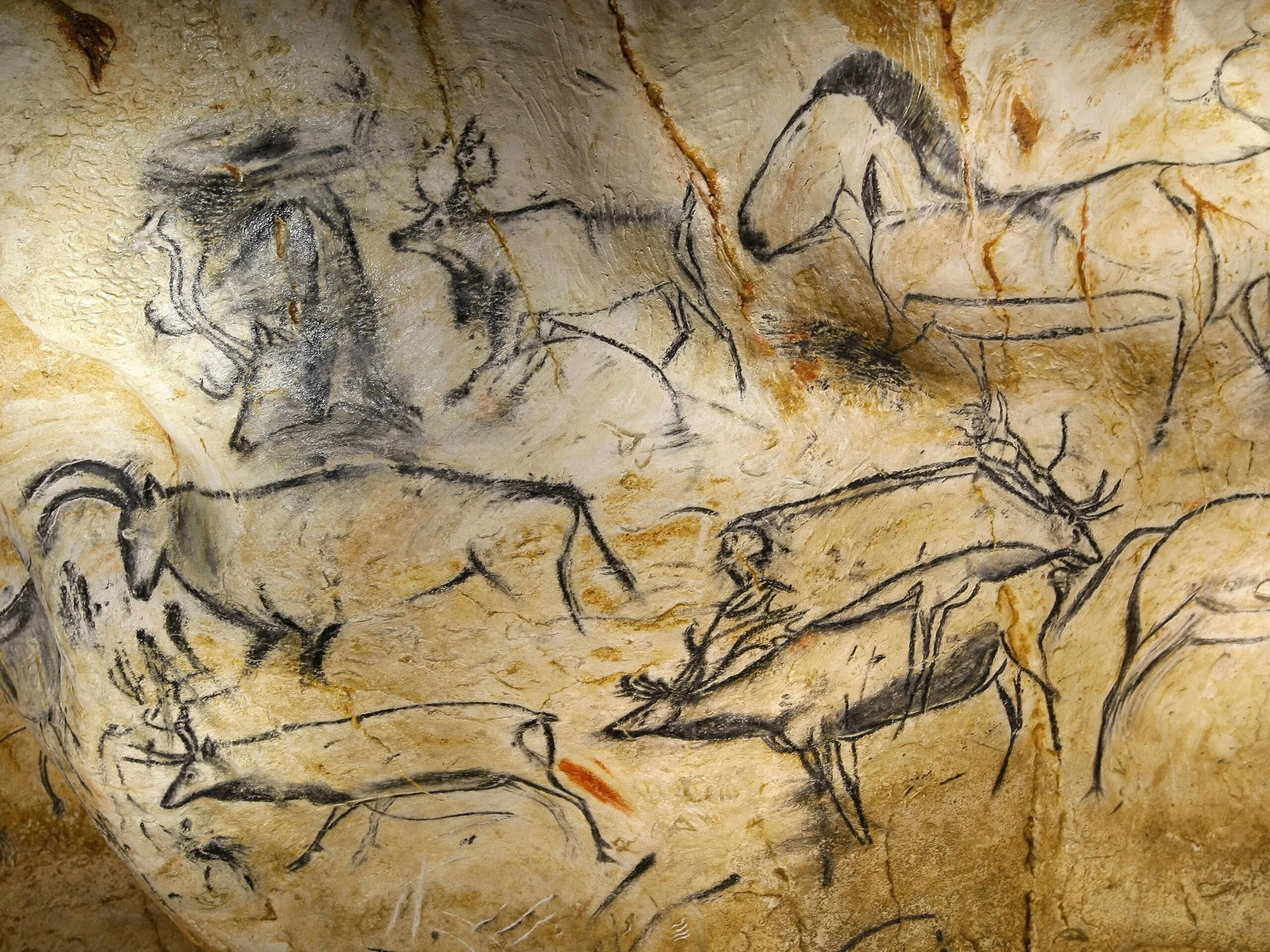 Рисовать на стенах пещер. Ущелье гасулья наскальная живопись. ориньяк палеолит. пещера ориньяк франция. сцены охоты пещера альтамира.