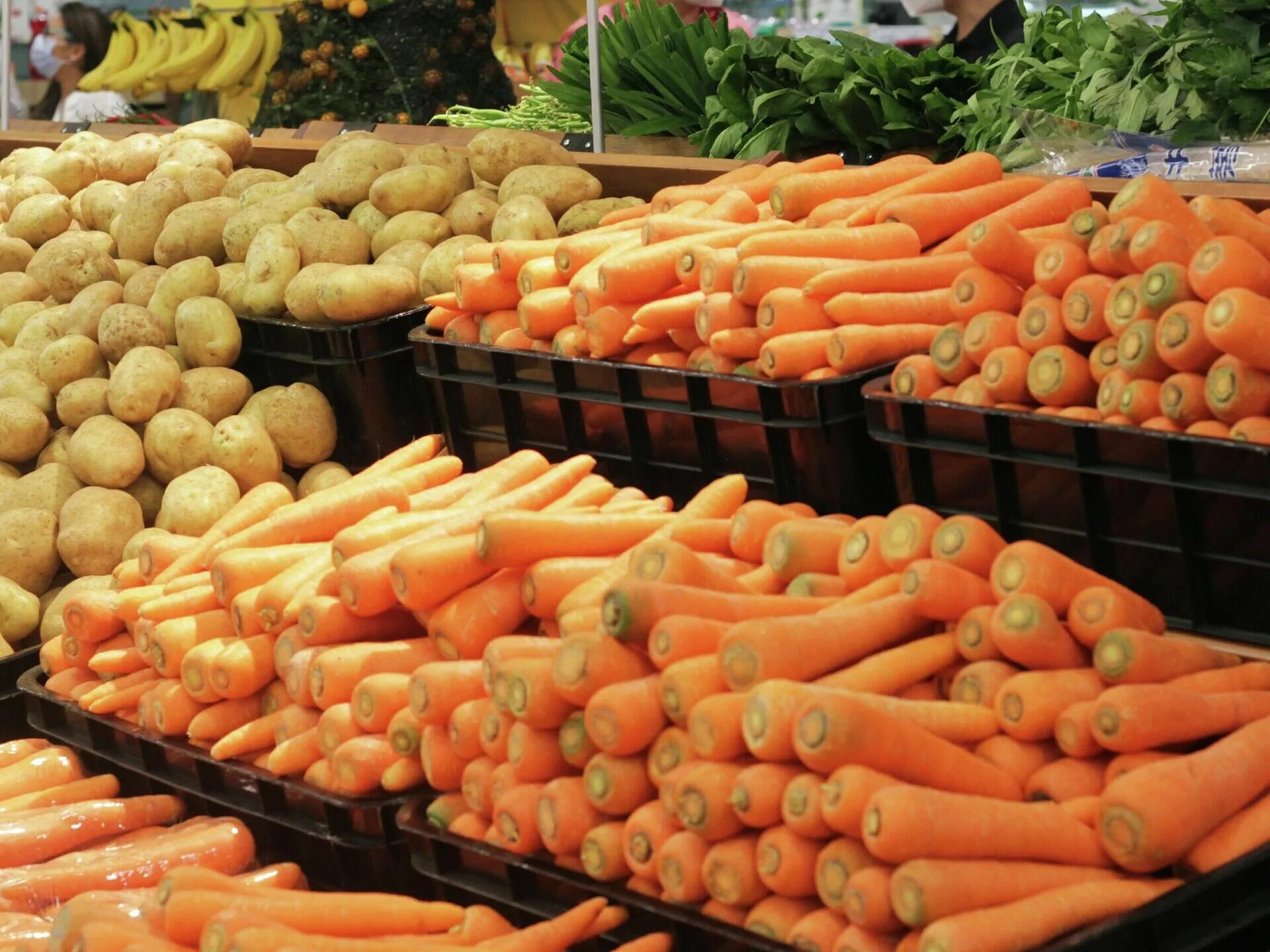 10 килограмм моркови. Морковь на рынке. Морковь на прилавке. Магазин морковка. Килограмм моркови.