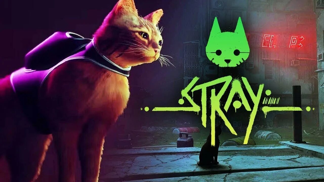 Игра котики прохождение. СТРЕЙ игра про кота. Stray 2022. Stray кошачий симулятор. Stray игра 2022.