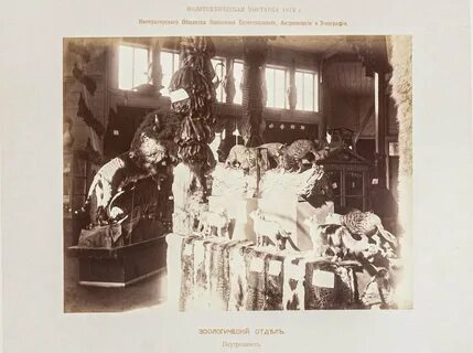 Всероссийская политехническая выставка 1872 года