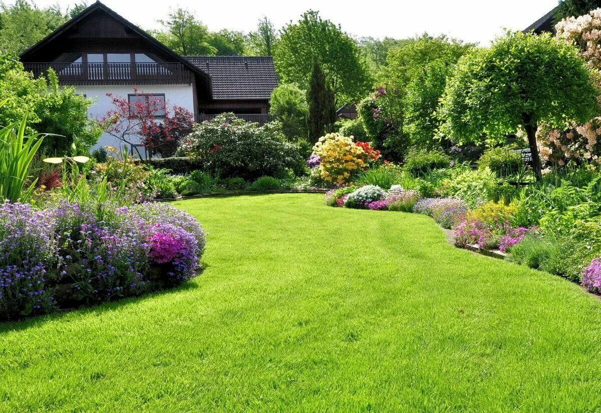 Газон на дачном участке. Дачные газоны. Партерный (английский) газон. Сша дом дерн. Дачный участок без цветов.