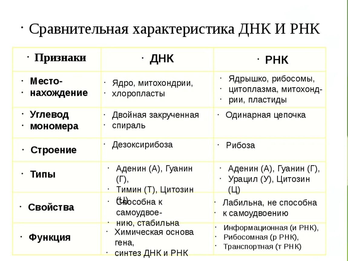 Нуклеиновые кислоты тест