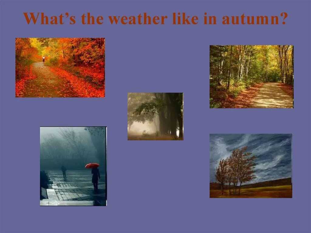 What was the weather like in summer. Weather in autumn. autumn weather vocabulary. what is the weather like in autumn. in autumn i like.