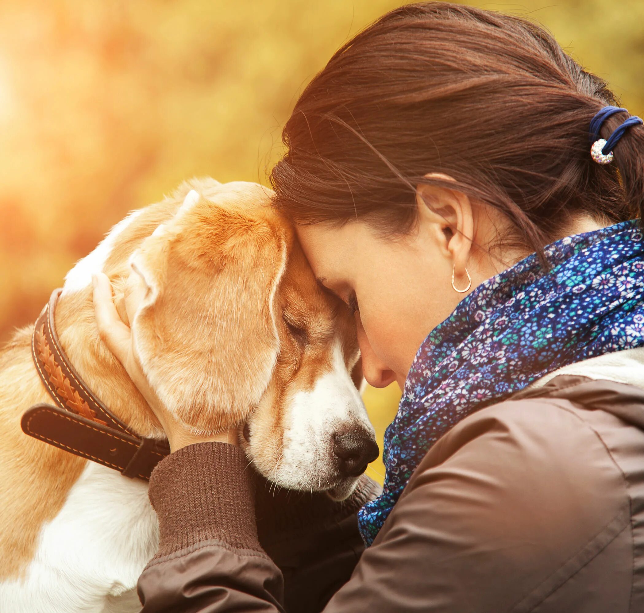 Good pets than dogs. Собака друг человека. Объятия с собакой. Человек обнимает собаку. Человек с собакой.