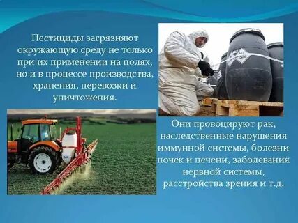 Применение пестицидов разрешено