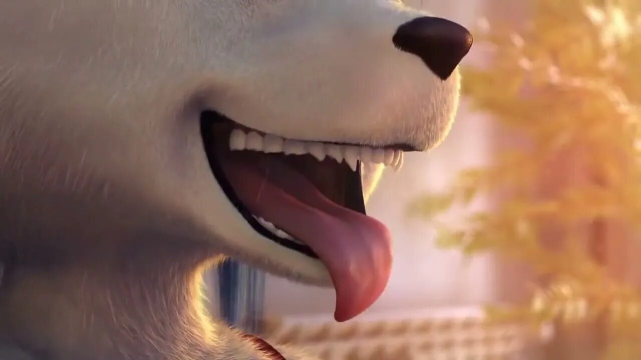 Cakeinferno vore. Zoe cakeinferno. zoe vore. zoe vore 1. vore лиса зое.