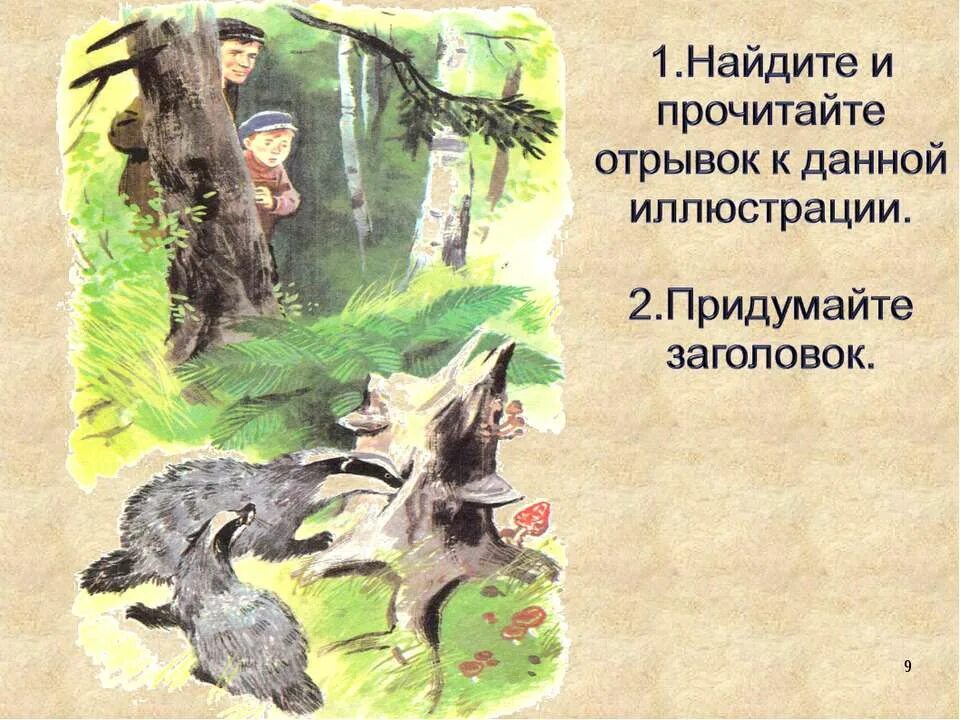 Барсучий нос распечатать текст полностью. К. Паустовский "барсучий нос". Барсучий нос иллюстрации к рассказу. Рисунок к рассказу барсучий нос. Барсучий нос Паустовский иллюстрации к произведению.