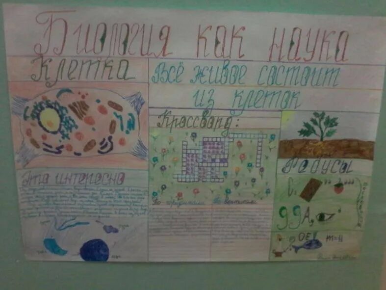 Плакат на тему биологии. Плакат на тему биологии. Плакат по теме биология. Плакат на тему бактерии. Плакат по биологии.