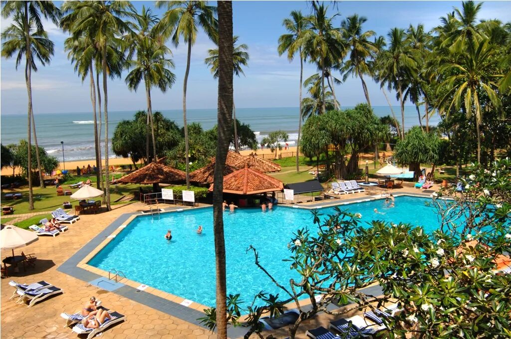 Tangerine beach hotel 4 калутара. Tangerine beach 4 калутара. tangerine beach 4* калутара, 50 м до моря. tangerine beach hotel 4. танжерин бич шри ланка отзывы.