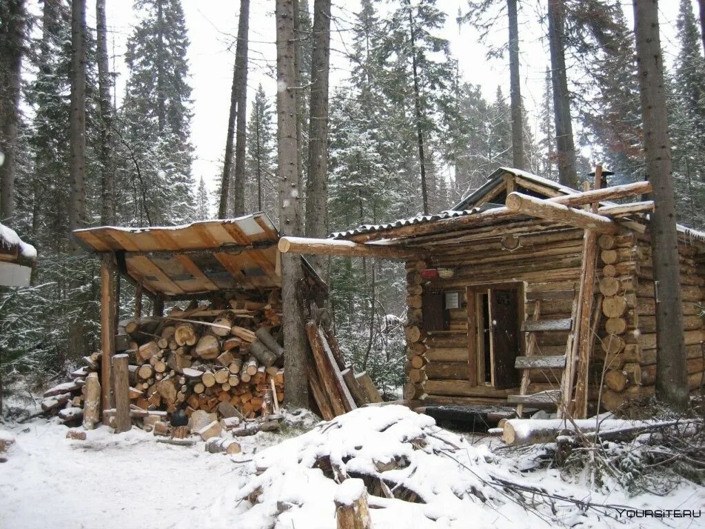 В глухих таежных