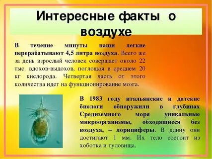 Факты для детей 2 класс