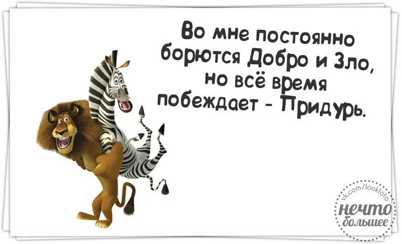 Цитата дня среда. Цитата дня среда