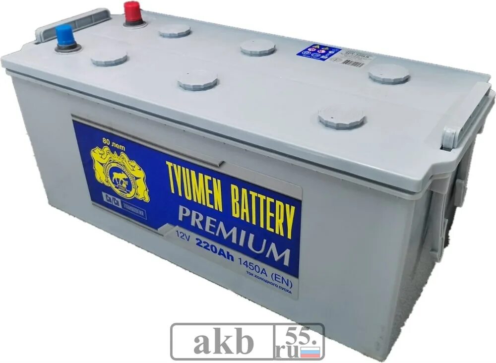 Тюмень батарея купить. Tyumen Battery 6ст-220lr Premium старый. Аккумулятор Tyumen Battery Premium 6ст-220lr. Tyumen Premium 220 Ач 1450а. Аккумулятор 6ст 77 (зал.)евр. Tyumen Battery Premium.