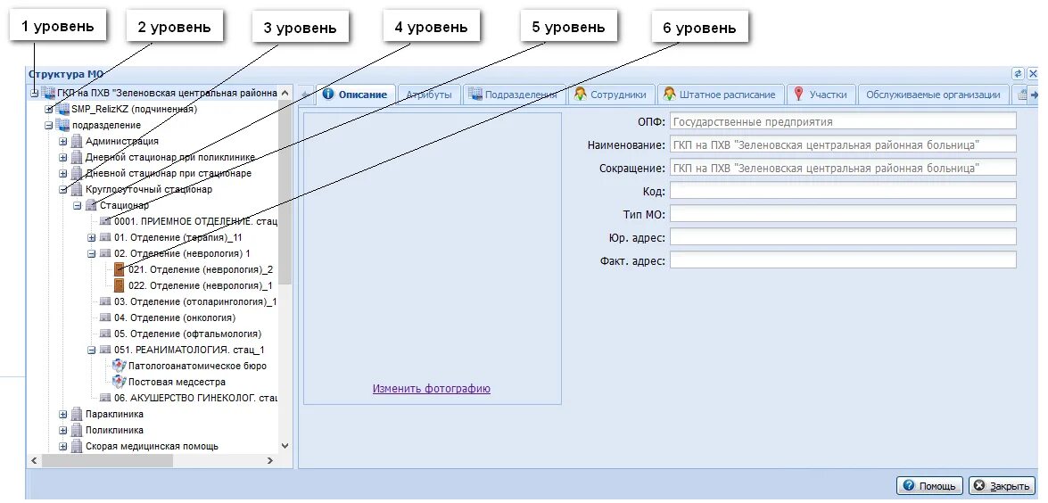 Название уровней групп. Структура PNG файла. Что такое подразделение 1 уровня. Дерева структуры медицинской организации ЕЦП. Эталонная структура РТ мис.