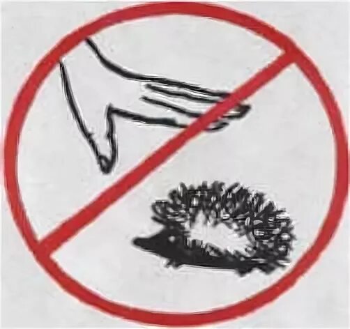 Экологические знаки. Природоохранные знаки. Запрещающие знаки в лесу. Экологический знак с ежом. Ежик запрещен