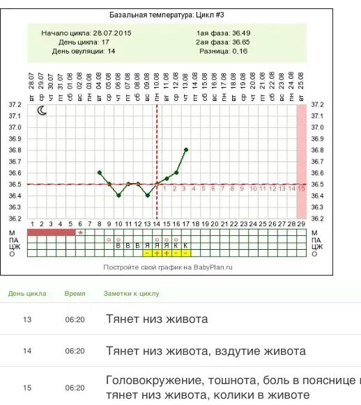 Сильные боли в середине цикла. После овуляции тянет низ. После овуляции низ живота. Тянет низ живота при овуляции. Тянет живот после овуляции.