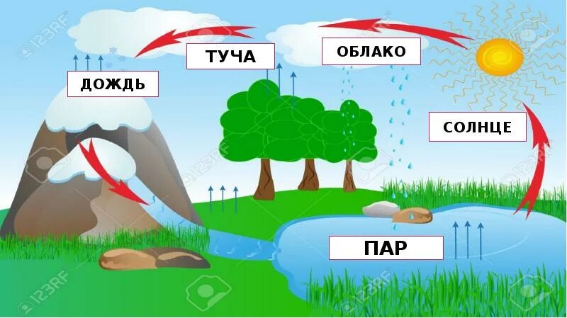 Почему идет дождь 1 класс ответ. Почему идет дождь. Почему идет дождь для дет. Осадки для детей. Идти почему д.