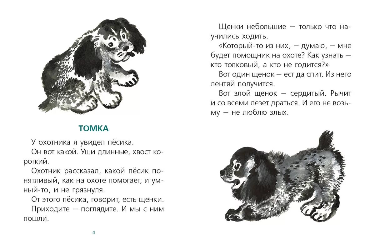 Произведение чарушина читать. Чарушин рассказы про Томку. Чарушин рассказы о животных Томка. Рассказы про Томку Чарушин рассказы.